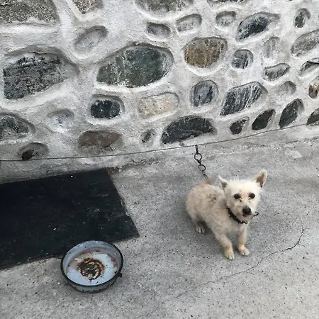 градината Vendégház 3*