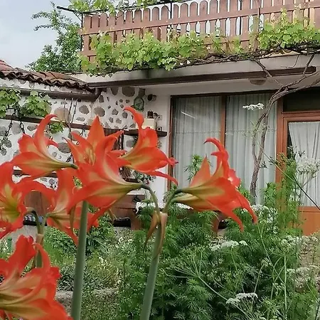 къща за гости градината Dobrinishte