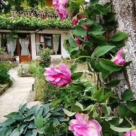 градината 3* Dobrinishte