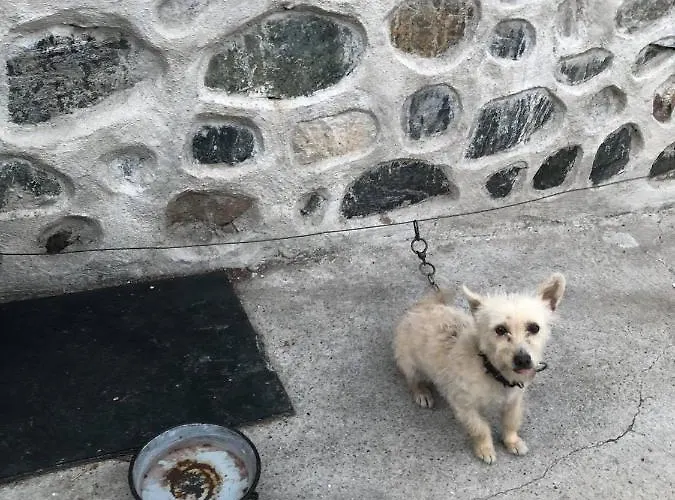 градината Къща за гости 3*