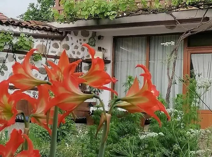 градината 도브리니쉬트