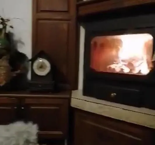 градината 게스트하우스